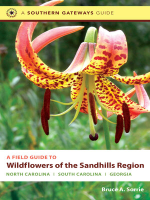 cover image of A Field Guide to Wildflowers of the Sandhills Region